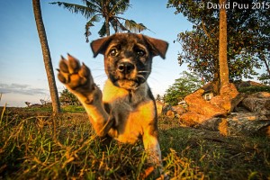 Congrats, you made it back to Bali! My shooting partner on my first morning shoot on Bali. 